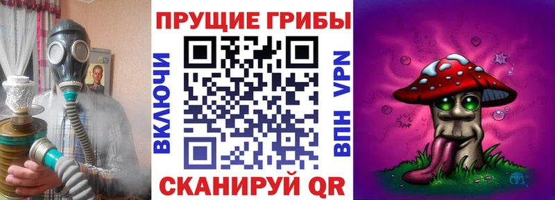 закладка  МЕГА зеркало  Псилоцибиновые грибы прущие грибы  Ипатово 